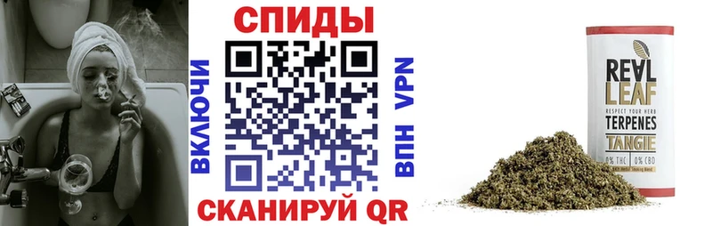 где купить наркоту  Иланский  это формула  Бутират BDO 
