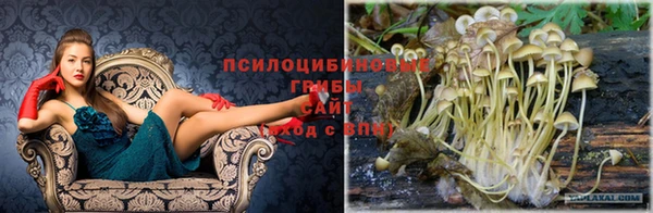 spice Абаза